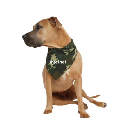 Picture of Nelnet University Pet Bandana