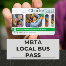 Picture of Local Bus Pass